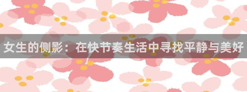 喵趣为什么打不开