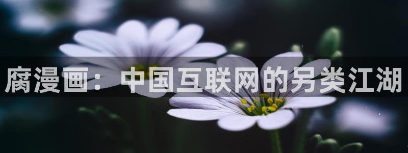 喵趣漫画app下载免费：腐漫画：中国互联网的另类江湖