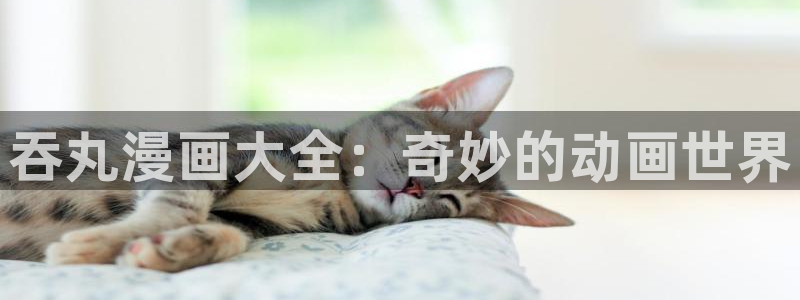 喵趣漫画破解版免广告版本：吞丸漫画大全：奇妙的动画世界