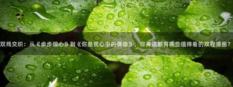 ww.喵趣.com：双线交织：从《步步惊心》到《你是我心中的偶像》，你身边都有哪些值得看的双程漫画？