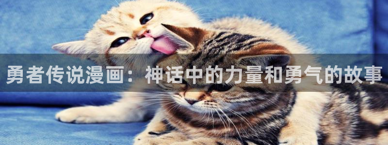 喵趣漫画看不了：勇者传说漫画：神话中的力量和勇气的故事