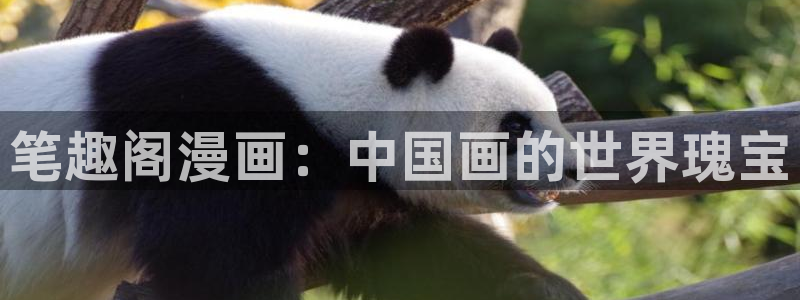 喵趣漫画最新：笔趣阁漫画：中国画的世界瑰宝