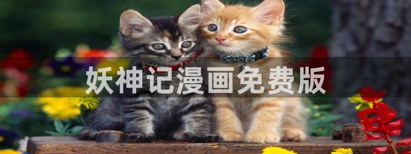 喵趣漫画怎么下载安装