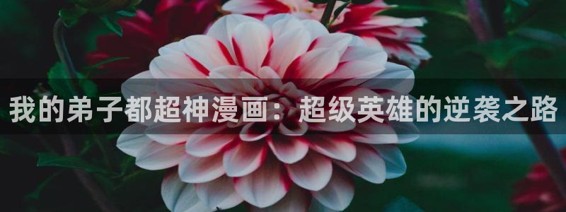 喵趣漫画 下载