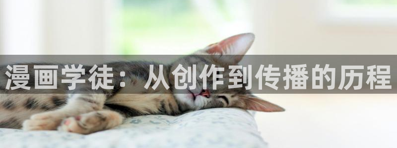 喵趣漫画下载官网