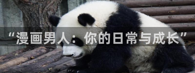 喵趣漫画官网下载入口
