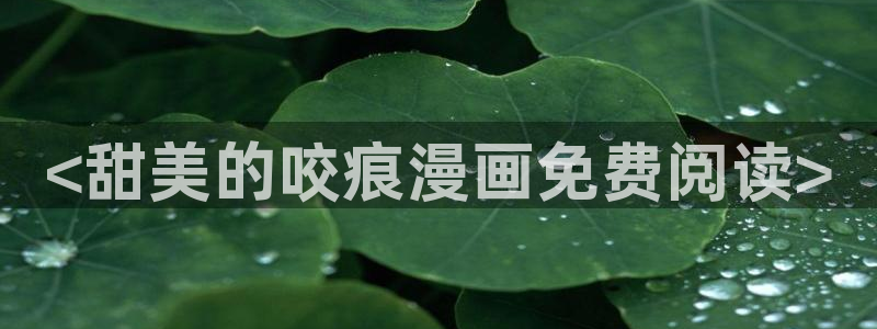 《喵趣漫画》