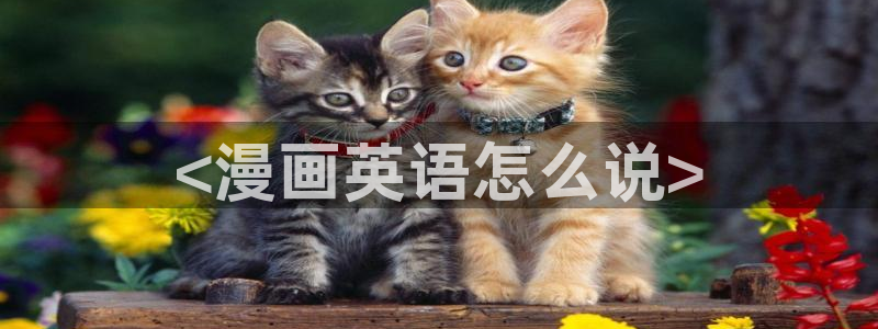 喵趣漫画app最新官方版介绍