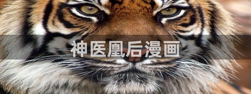喵趣回归