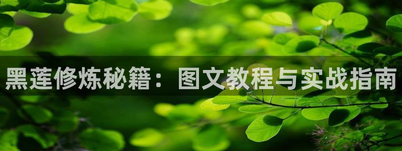 喵趣漫画官网版网址
